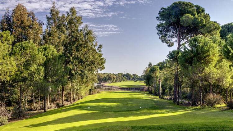 Cornelia Faldo Golf